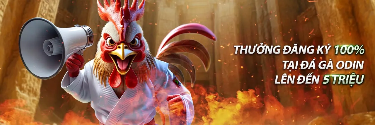 Tin tức mới nhất từ trang đánh bóng uy tín